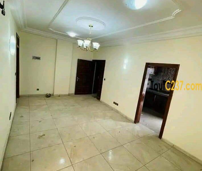 Appartement Neuf à louer Akwa Douala