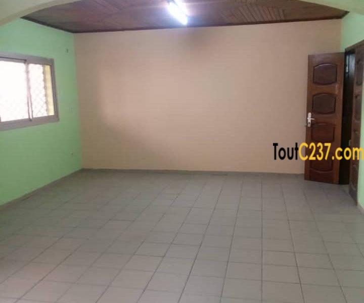 Grand Appartement à louer à Kotto Douala