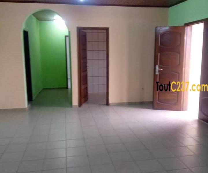 Grand Appartement à louer à Kotto Douala