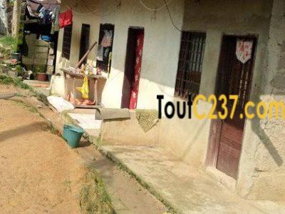Maison à vendre à Ndogpassi Douala