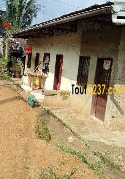 Maison à vendre à Ndogpassi Douala
