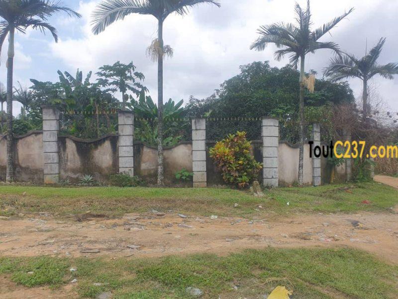Spécial terrain à vendre à Logpom Douala