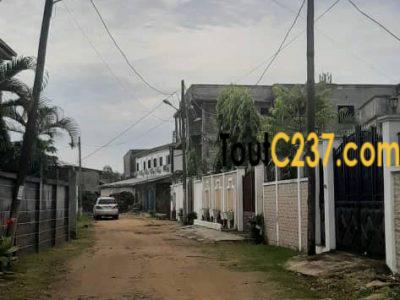 Terrain à vendre à Bonamoussadi, Douala