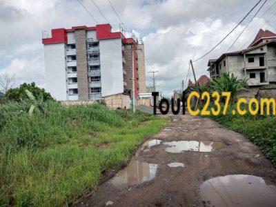Terrain à vendre à Bonamoussadi Douala