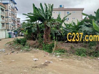 Terrain a vendre à Kotto Douala