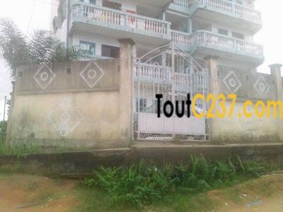 Immeuble à vendre à Logpom Douala