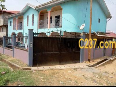 Immeuble à vendre a Kotto Douala