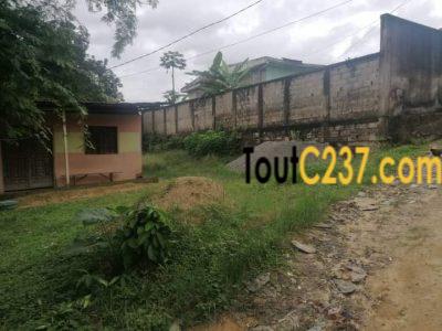 Terrain a vendre a pk14 Douala