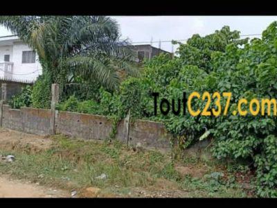 Terrain à vendre à Beedi Douala