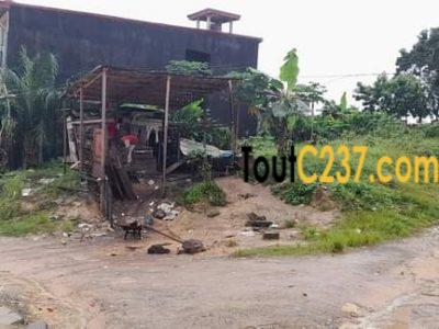 Terrain d'angle à vendre à Logpom, Douala