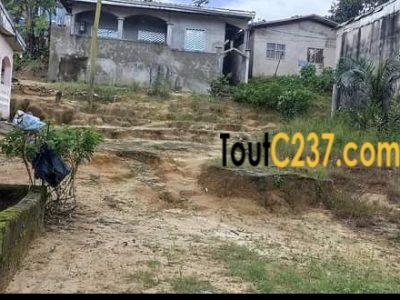Terrain à vendre a Beedi Douala
