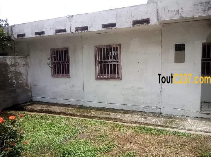 Maison en villa à louer à Kotto Douala