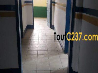 Bureaux à louer à Akwa Douala