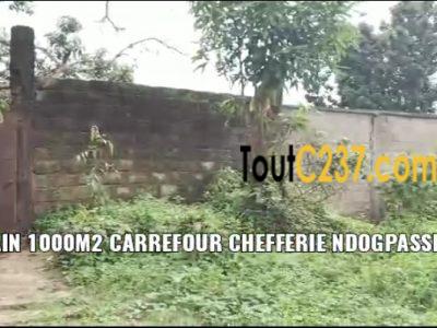 Terrain à vendre a Ndopassi 2 Douala