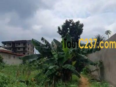 Terrain a vendre a Logpom, Douala