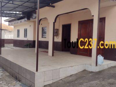 Maison en villa a louer à Kotto Douala