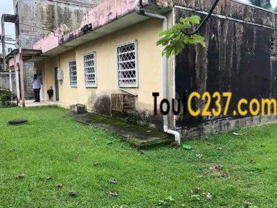 Maison sic à vendre à Makepe Douala