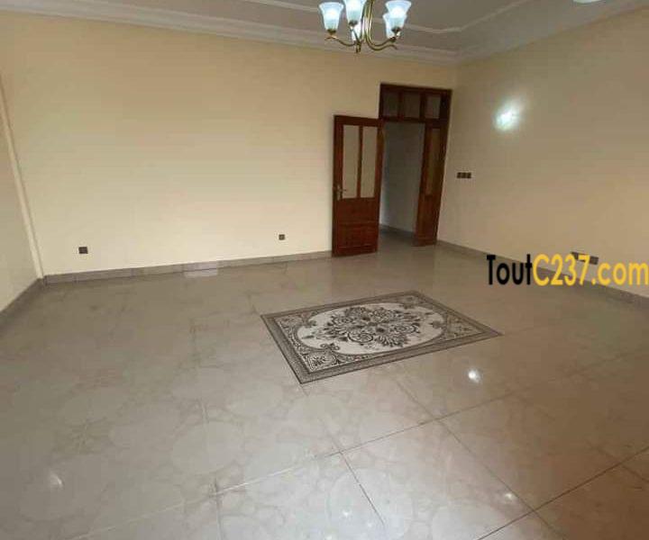 Appartement neuf à louer a Akwa Douala