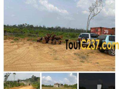 New: Terrains à vendre à Lendi Douala