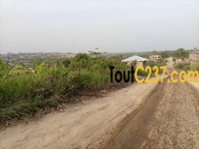Terrain à vendre a Japoma Douala