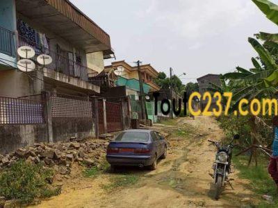 Terrain à vendre à ndogbon, Douala