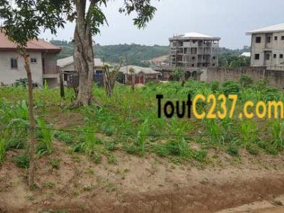 Terrain à vendre à Lendi, Douala