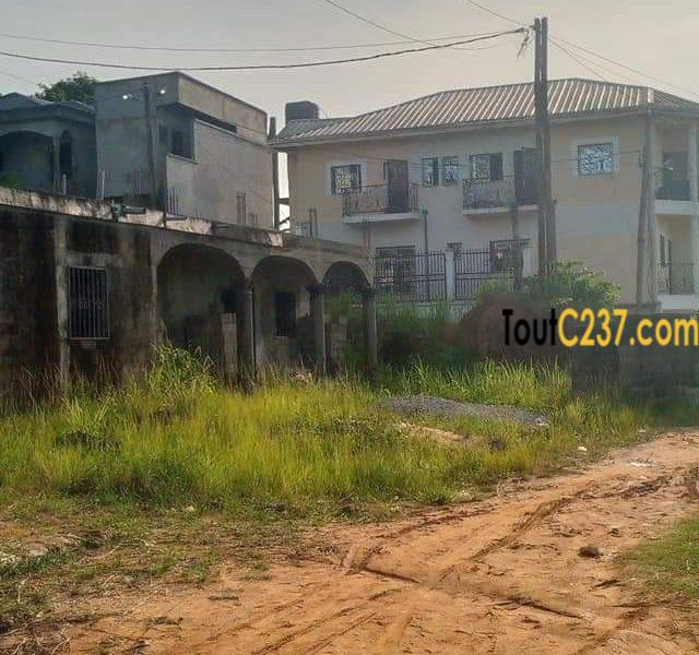 Terrain à vendre à Logpom, Douala