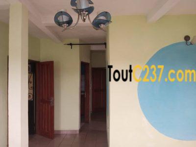 Appartement à louer a Bali Douala