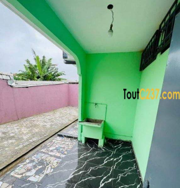 Maison en villa à louer à Kotto, Douala