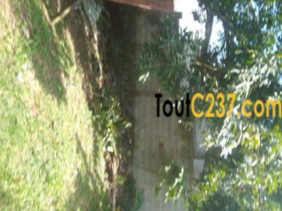 Terrain à vendre à Nkolbong, Douala