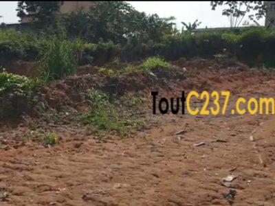 Terrains à vendre à Lendi, Douala