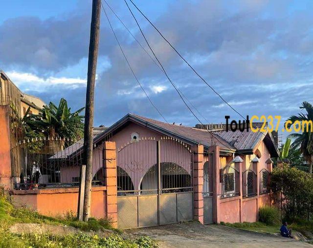 Maison à vendre à Ndogpassi 3, Douala