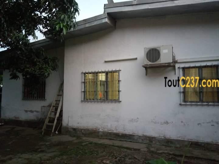 Maison à vendre à Bonaberi, Douala