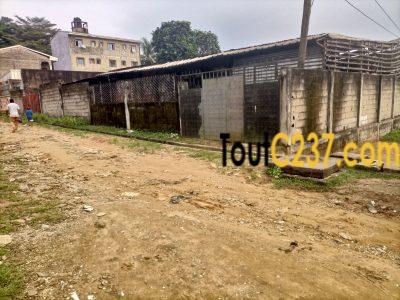 Terrain d'angle à vendre à Bonamoussadi Douala